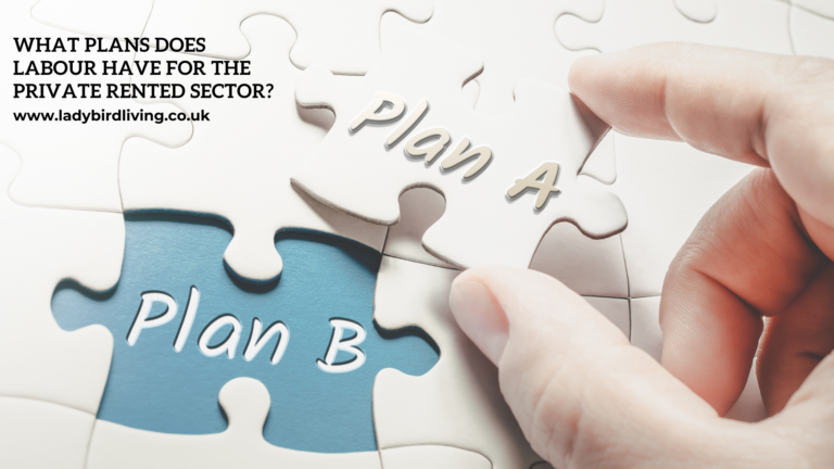 What plans does the Labour Party have regarding the private rented sector?