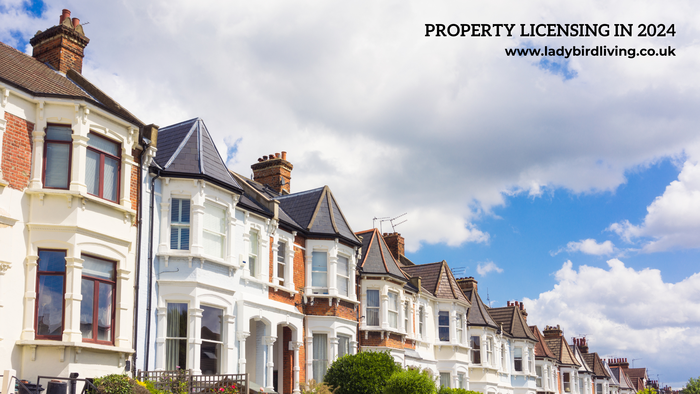 Property licensing in 2024