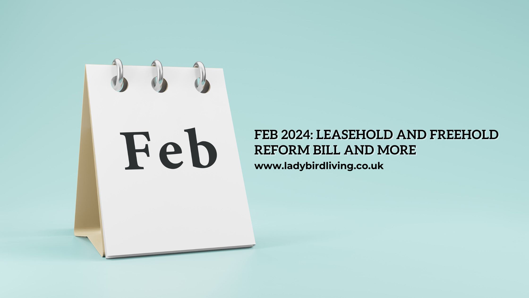 feb 24