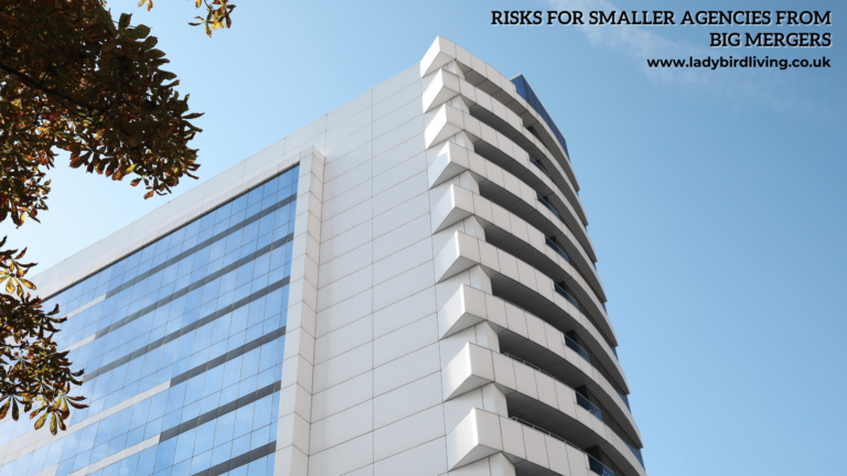 Risks for smaller agencies from big mergers