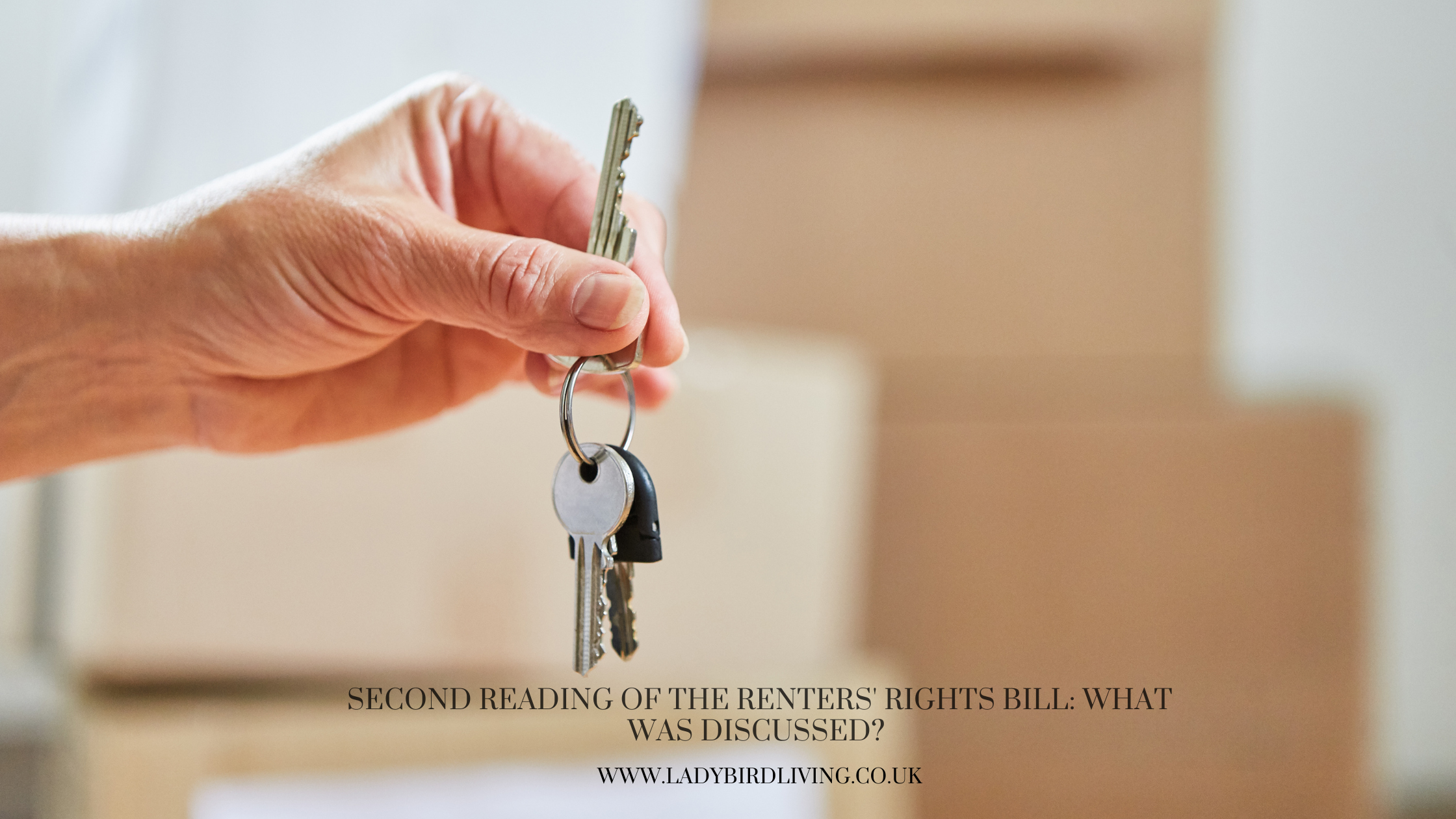 second reading of renters rights bill